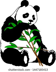 black and white Panda with bamboo