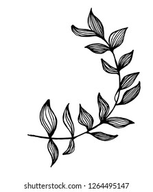 Black white pattern of a branch with leaves. Idea for a tattoo.