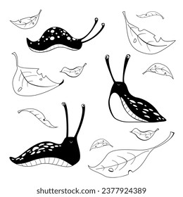 Black and white pattern: cute slugs and leaves. Vector illustration.