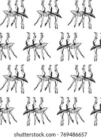 Black and white pattern with dancing ballerinas