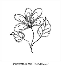 Black and white pattern flower arrangement in doodle or sketch style, vector graphics