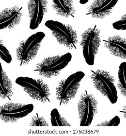 Black And White Pattern With Fluffy Feathers