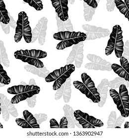 Black and white pattern of tropical leaves. Seamless background with palm leaves.