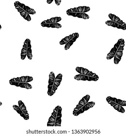 Black and white pattern of tropical leaves. Seamless background with palm leaves.