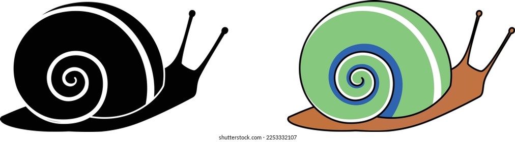 Black and white patterned snails and colorful snails