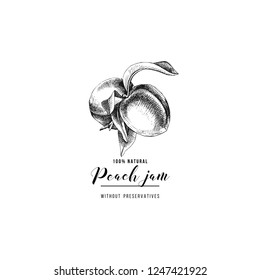 Plantilla de logotipo de mermelada de melocotón blanco y negro en estilo vintage. Ilustración del vector