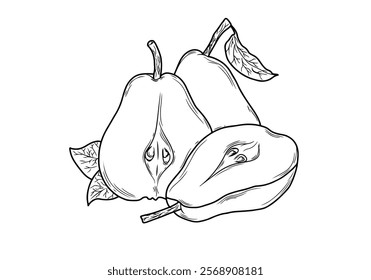 Black and white pear line art illustration with simple lines, highlighting the distinctive shape and clean, minimalist details.