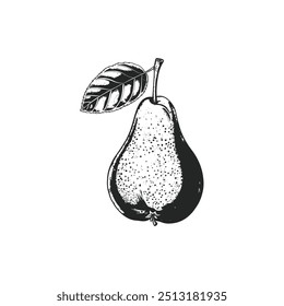 Pera blanca y negra. Diseño de Ilustración vectorial.