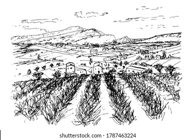 Black White Pen Sketch White Background Mountainous Landscape Provence Lavender fields, rural buildings among cypresses and olives, mountains. Isolated vector drawing.