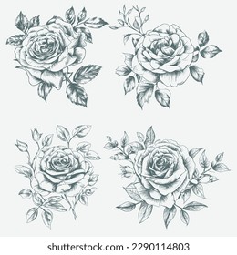 Black and white pencil sketch art rose flower, vector illustration. Isolated on white background rose. High detail rose flower vector