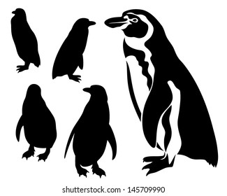 black and white penguin vector illustration - outline and silhouette set