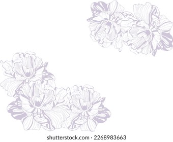 Dibujo de peonías en blanco y negro. Ilustración de flores dibujada a mano. Flores de peonía. Dibujo de línea. Ilustración de flores para tarjeta, invitación, tarjeta de boda. Dibujo de flores color pastel.