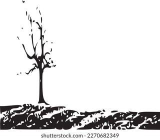 Black and white photo of a dry tree