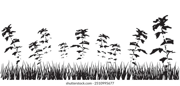 A black and white photo of a field of grass with trees in the background. The image has a serene and peaceful mood, with the trees and grass creating a sense of calmness and tranquility