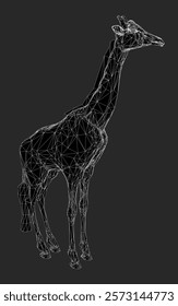 Black and white photo of a giraffe standing on a dark background. The image has a moody and mysterious feel to it, as the giraffe is the only visible element in the scene. The lack of color