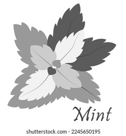 A black and white picture can be used for a mint packaging sticker