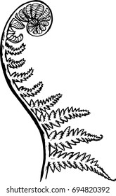 Black And White Picture Of A Fractal Leaf. Spiral Fern