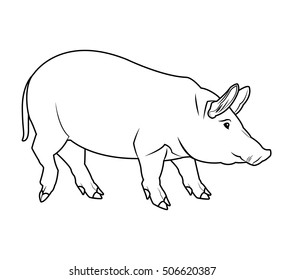 Black and white pig design