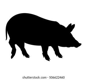 Black and white pig design