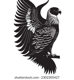 fondo de pichón negro y blanco 