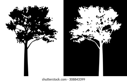 Black and white pine tree isolated vector, shadow leaf wood, white bush outline forest, gray plant shape, foliage contour, botany silhouette nature.