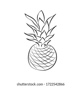 Black and white pineapple isolated on white background. Vector illustration. Doodle style. Decorative retro style pineapple product for restaurant menu, market label, logo, coloring book.