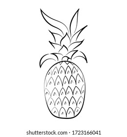 Black and white pineapple isolated on white background. Vector illustration. Doodle style. Decorative retro style pineapple product for restaurant menu, market label, coloring book.