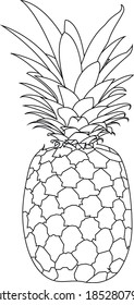 Black and White Pineapple With Line Art or Sketchy Style