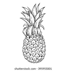 Black and White Pineapple With Line Art or Sketchy Style