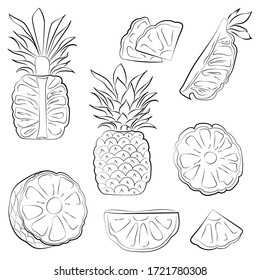 Black and white pineapples isolated on white background. Vector illustration. Decorative retro style pineapples product for restaurant menu, market label, coloring book.