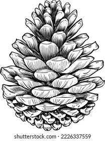 pinecona en blanco y negro en vector de invierno