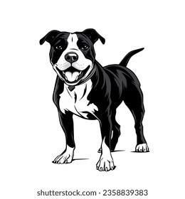 Black and white pitbull illustration clipart design on white background