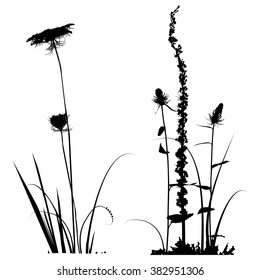 Black and white Plants silhouettes collection for designers