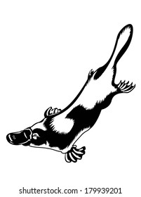 Black and White Platypus Swimming Isolated Vector