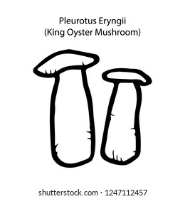 black and white pleurotus eryngii or king oyster mushroom object, vector doodle art