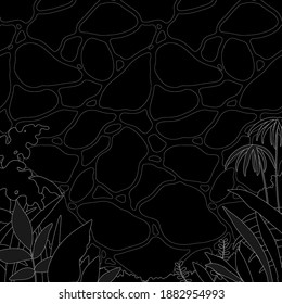 Superficie y plantas tropicales de chapa negra y blanca, diseño de plantillas de impresión en blanco y sin línea