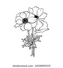 Black and white poppies flowers bouquet with field anemone vector illustration for greeting cards, spring wedding, mothers day designs and coloring pages