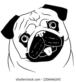 Black and white portrait of cute pug on white background. Illustration of doggie in line art.