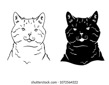 Black and white portraits of cats. Sketches of two cats.