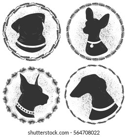 Black and white portraits of dogs.Silhouettes  pug, Terrier, Doberman  hound