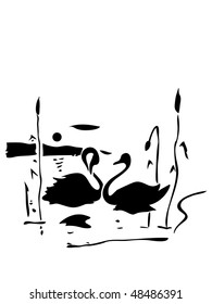 black and white postcard with two swans