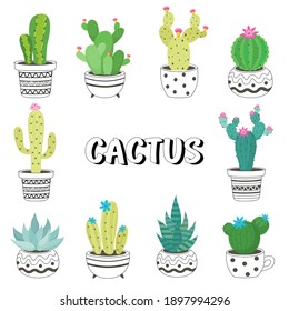 Black and white pots Cactus Vector set on white
