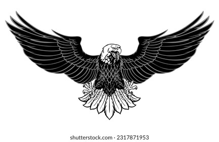 Black and white powerful eagle spread the wings