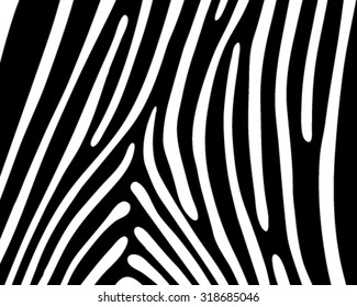 Black and white print pattern skin of zebra, vector