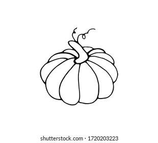 Calabaza blanca y negra. Dibujo manual. Ilustración aislada vectorial con una verdura. Impresión en papel, tejidos, platos, carteles, tazas. Calabaza de jardín sobre un fondo blanco. Estilo Doodle.