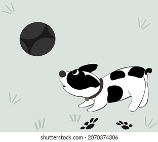 Black and white puppy playing ball dog footprints vector illustration pet cute green background