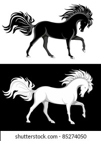 Black and white purebred horses with luxurious manes