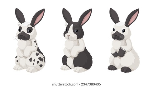 Black and white rabbit breeds. English spotted, Danish and Californian rabbits. Cute bunnies vector illustration isolated on white background.