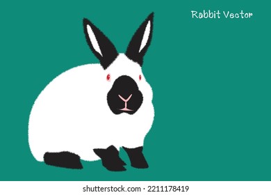 Black and white rabbit. Cartoon vector rabbit. Icon. Isolated cartoon icon set.Vector Rabbit illustration on isolated background.