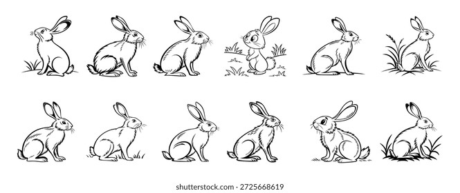 preto e branco coelho ilustrações mão desenhado coelho clipart